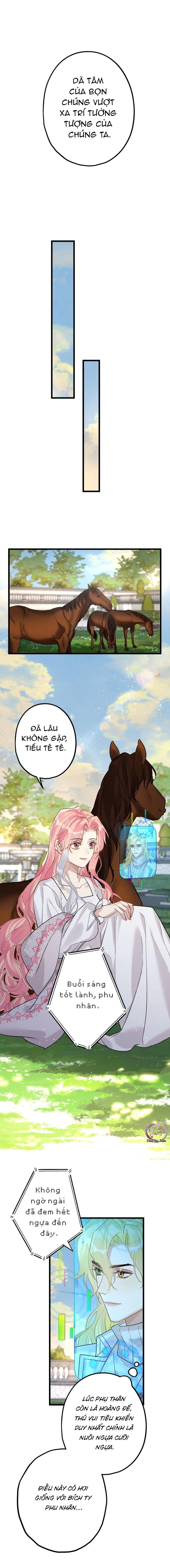 Chung Tình (END) Chapter 63 Trang 5