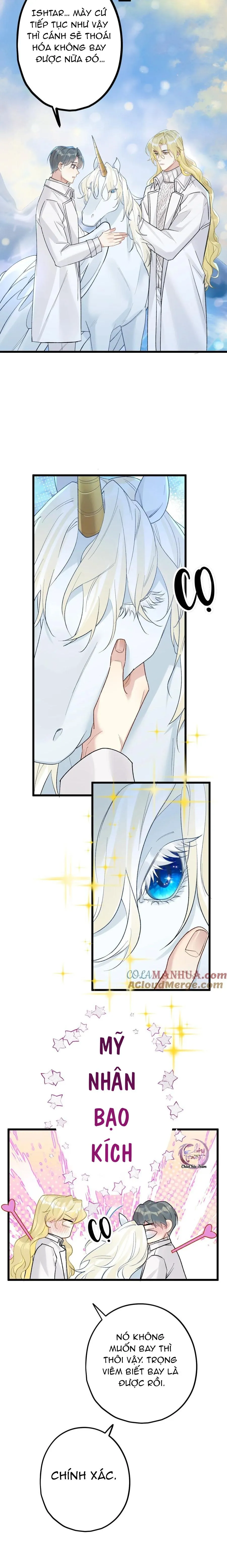 Chung Tình (END) Chapter 64 Trang 4