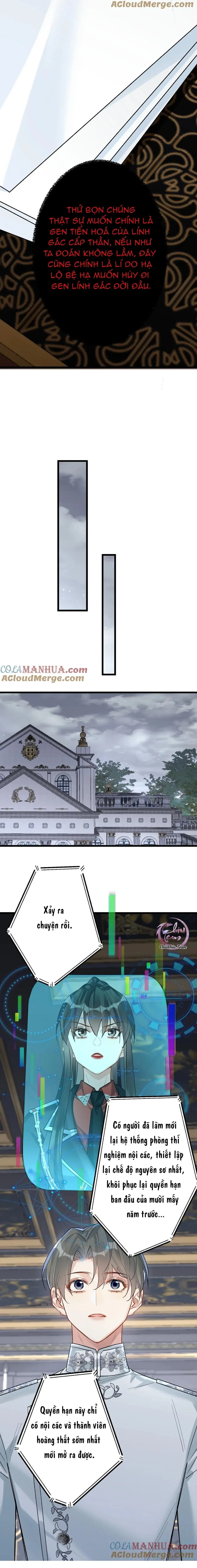 Chung Tình (END) Chapter 66 Trang 5