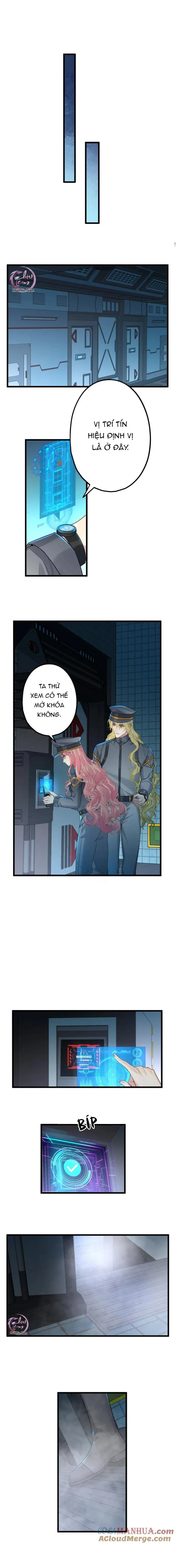 Chung Tình (END) Chapter 71 Trang 4