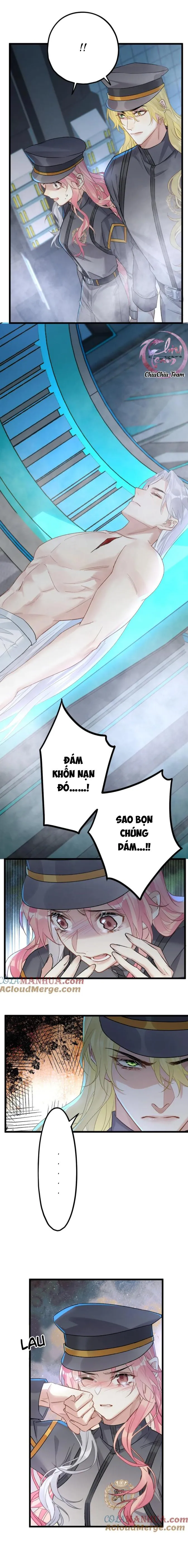 Chung Tình (END) Chapter 71 Trang 5