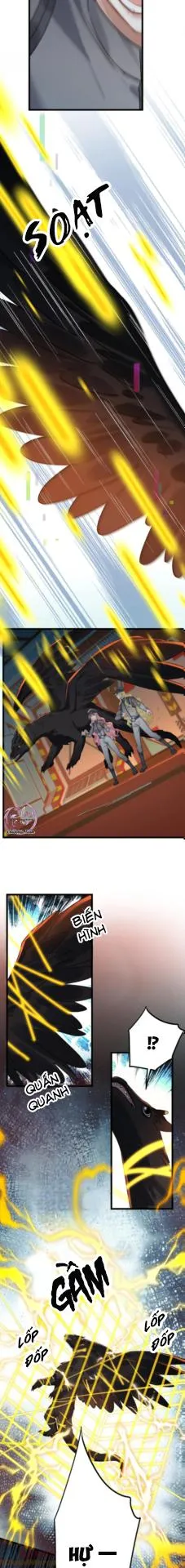 Chung Tình (END) Chapter 71 Trang 7