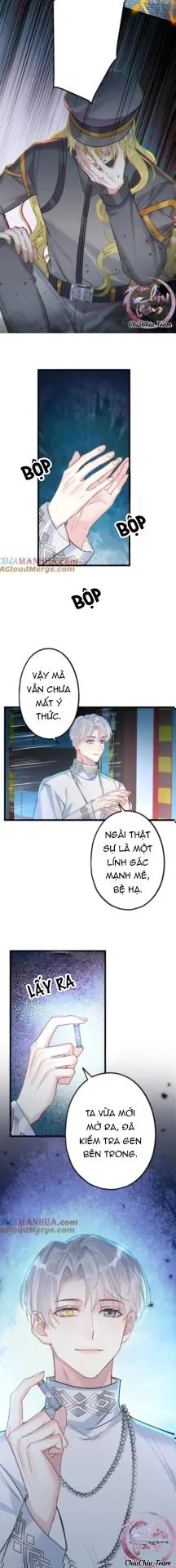 Chung Tình (END) Chapter 71 Trang 8