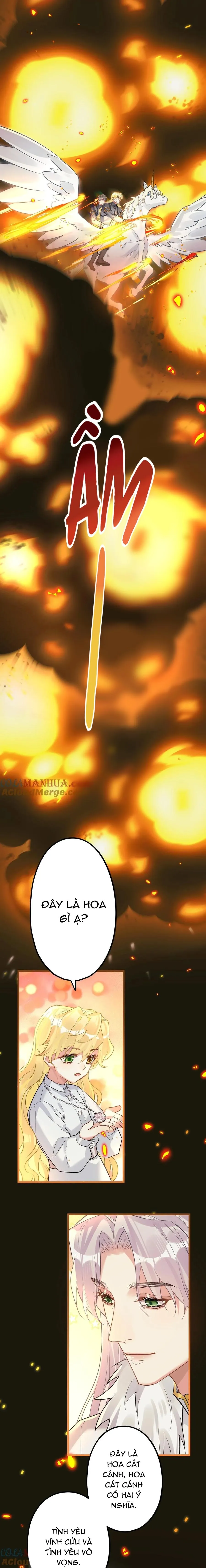 Chung Tình (END) Chapter 73 Trang 5