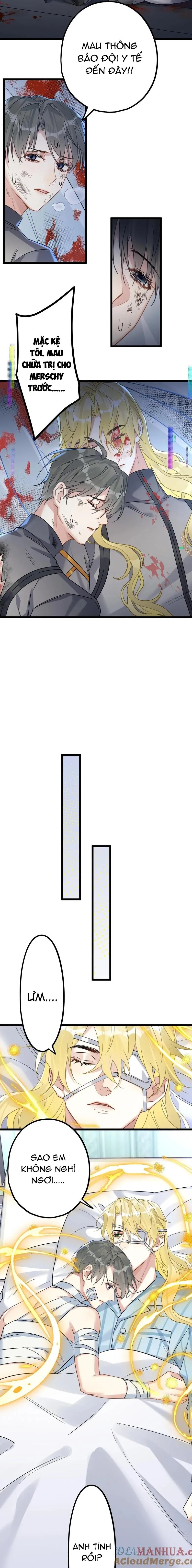Chung Tình (END) Chapter 73 Trang 7