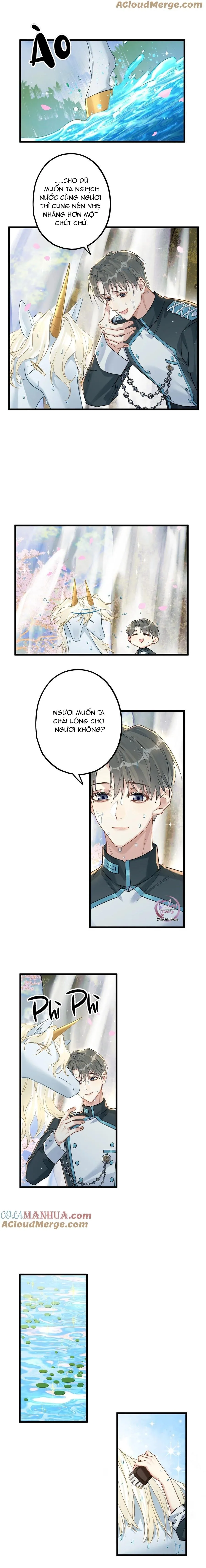 Chung Tình (END) Chapter 76 Trang 4