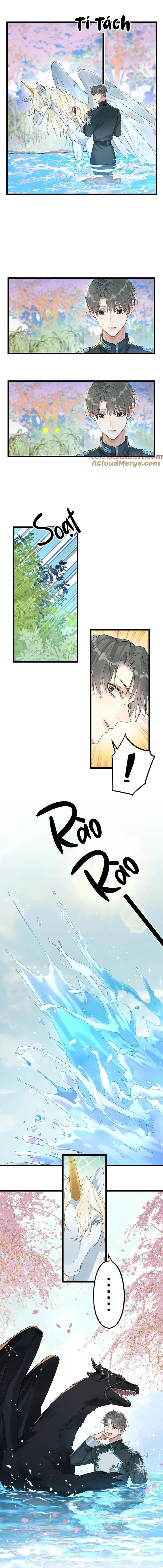 Chung Tình (END) Chapter 76 Trang 5