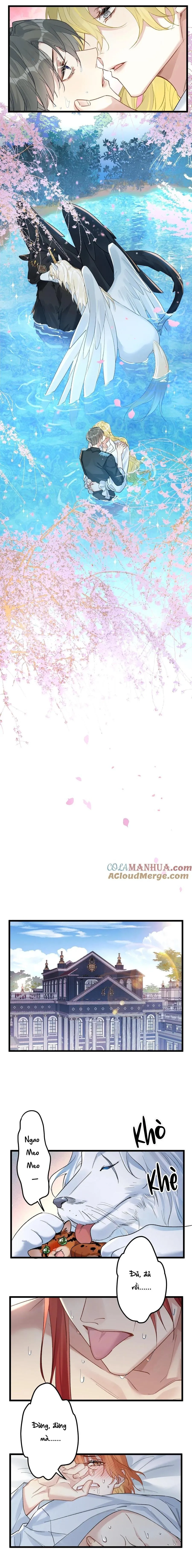 Chung Tình (END) Chapter 76 Trang 7