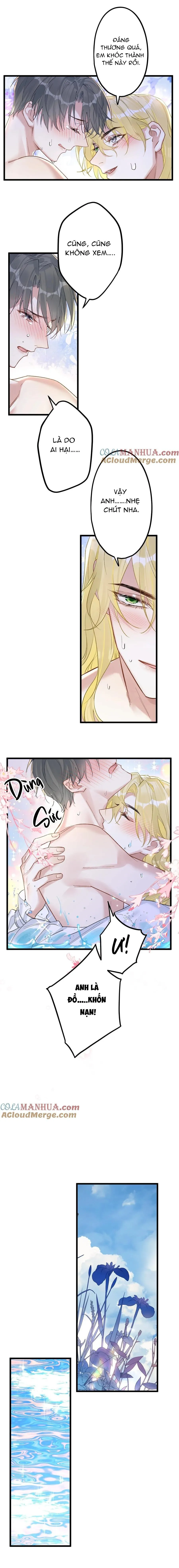 Chung Tình (END) Chapter 77 Trang 3