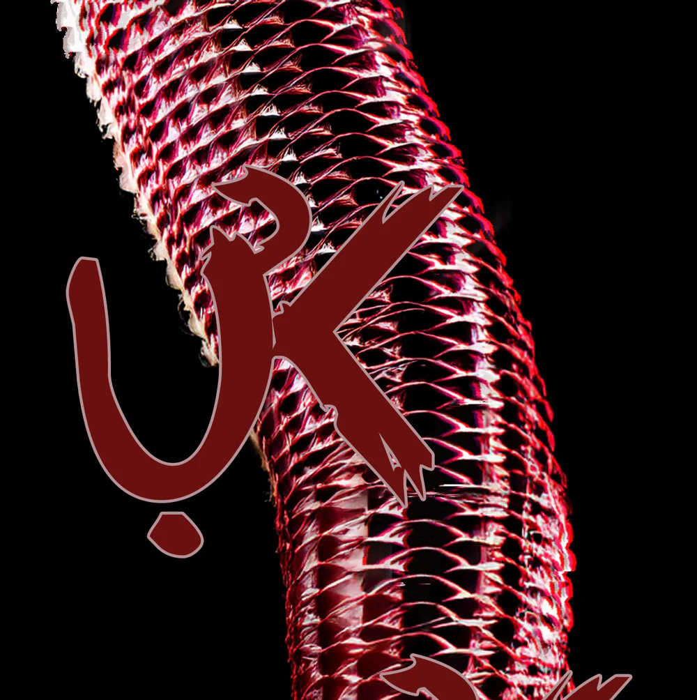 CHUYỆN QUỶ MÔN QUAN Chapter 106 Trang 72