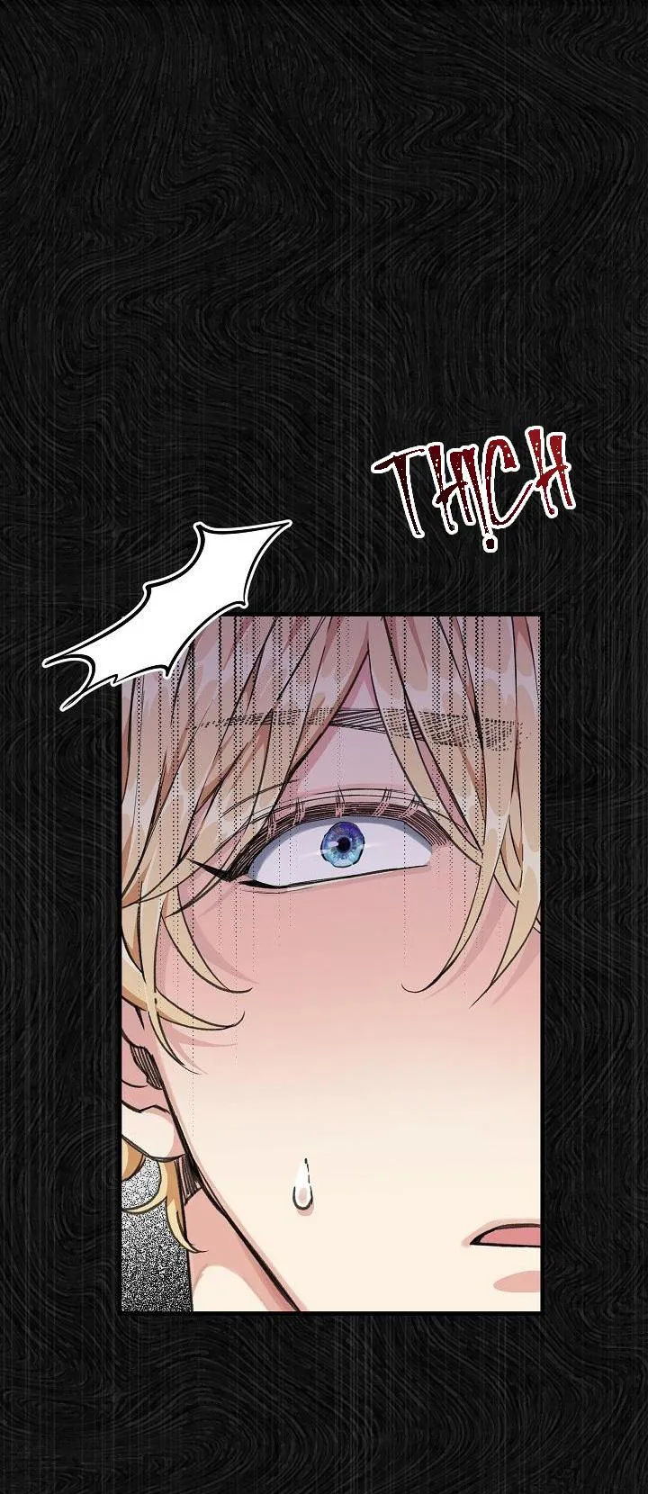 CHUYẾN TÀU ĐIÊN CUỒNG Chapter 2 Trang 17