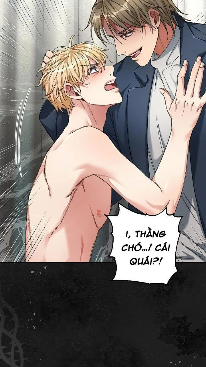 CHUYẾN TÀU ĐIÊN CUỒNG Chapter 20 Trang 13