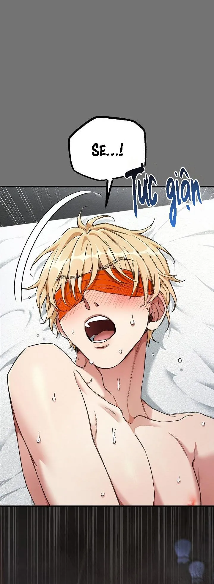 CHUYẾN TÀU ĐIÊN CUỒNG Chapter 27 Trang 12