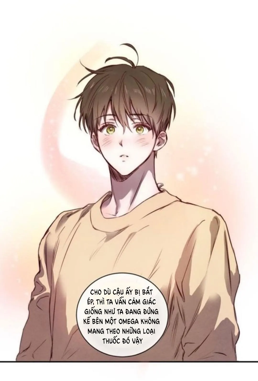 Chuyện tình cây liễu Chapter 4 Trang 10