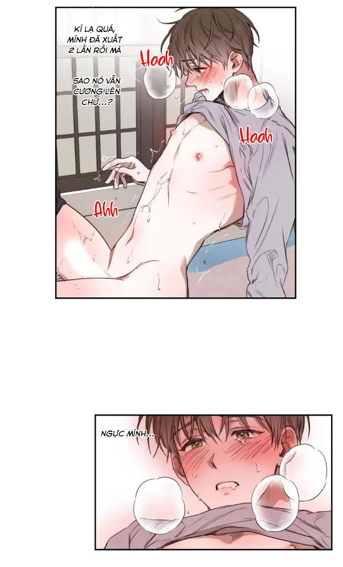 Chuyện tình cây liễu Chapter 8 Trang 23