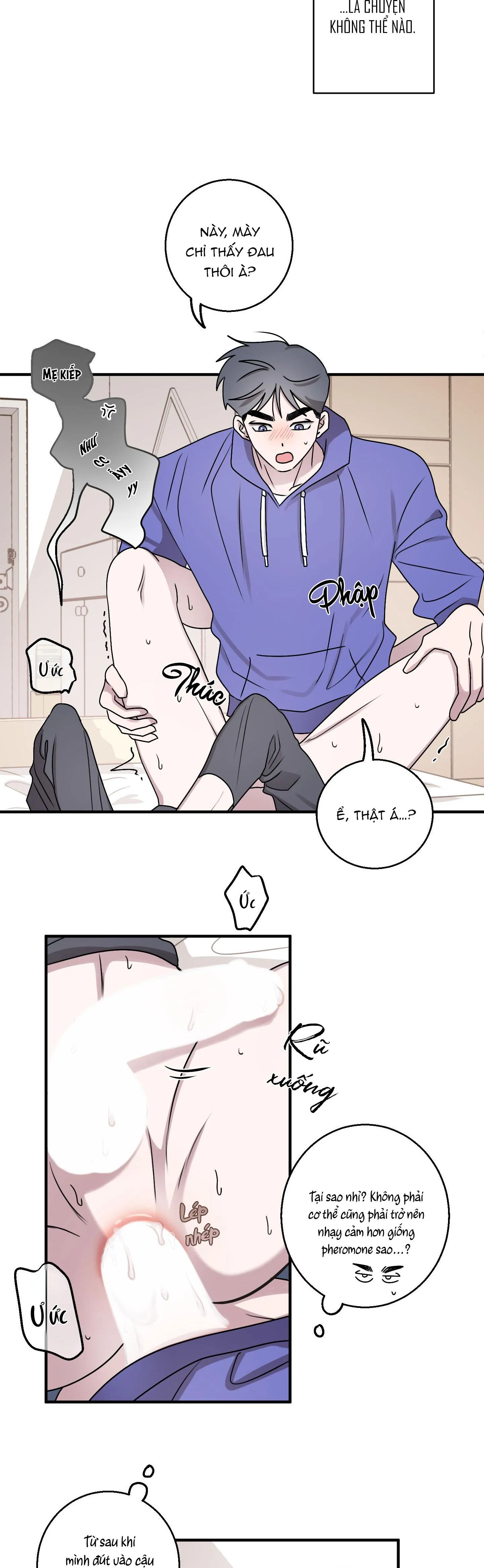 CHUYỆN TÌNH ALPHA Chapter 2 Trang 27