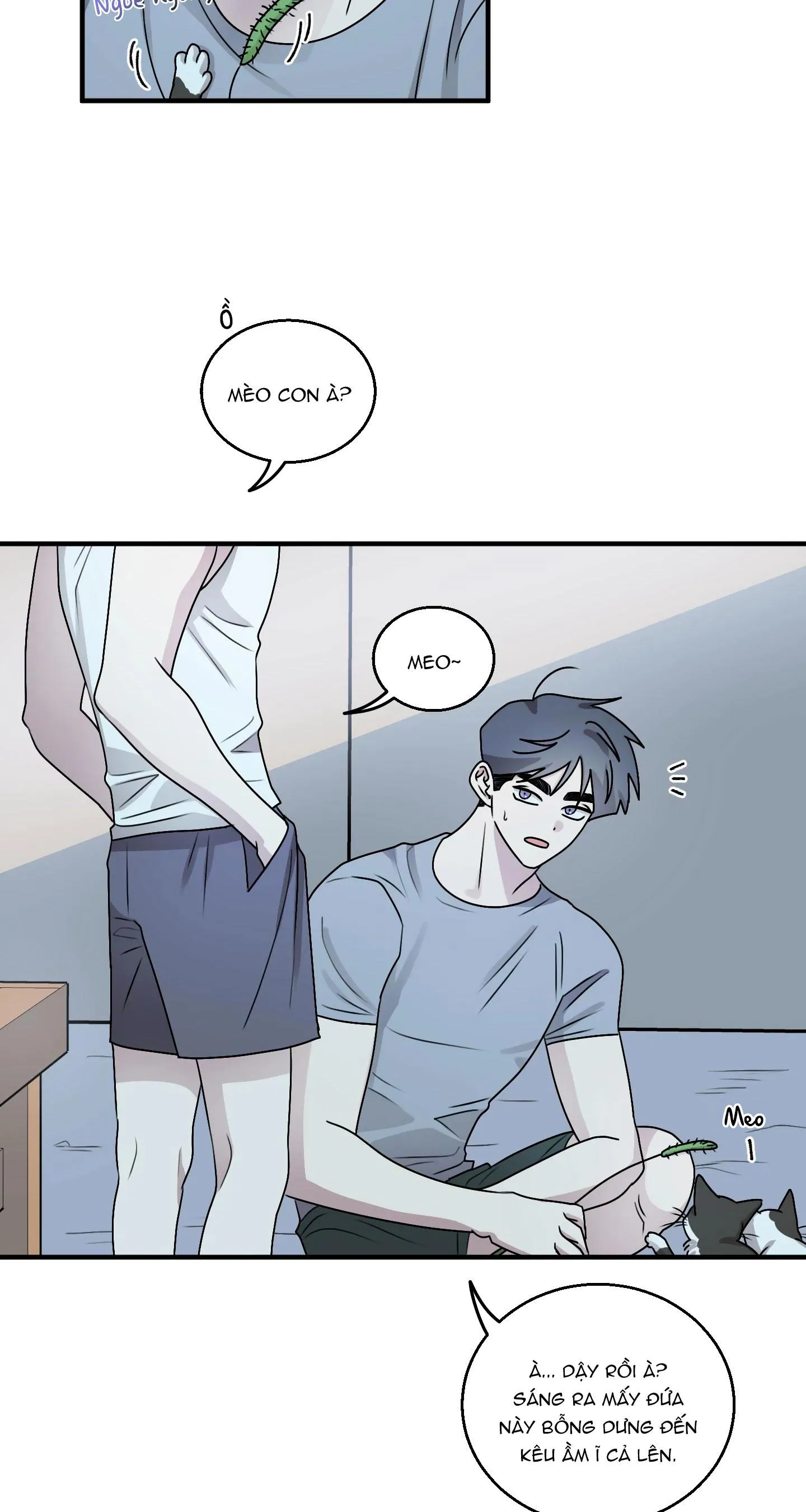 CHUYỆN TÌNH ALPHA Chapter 18 Trang 18