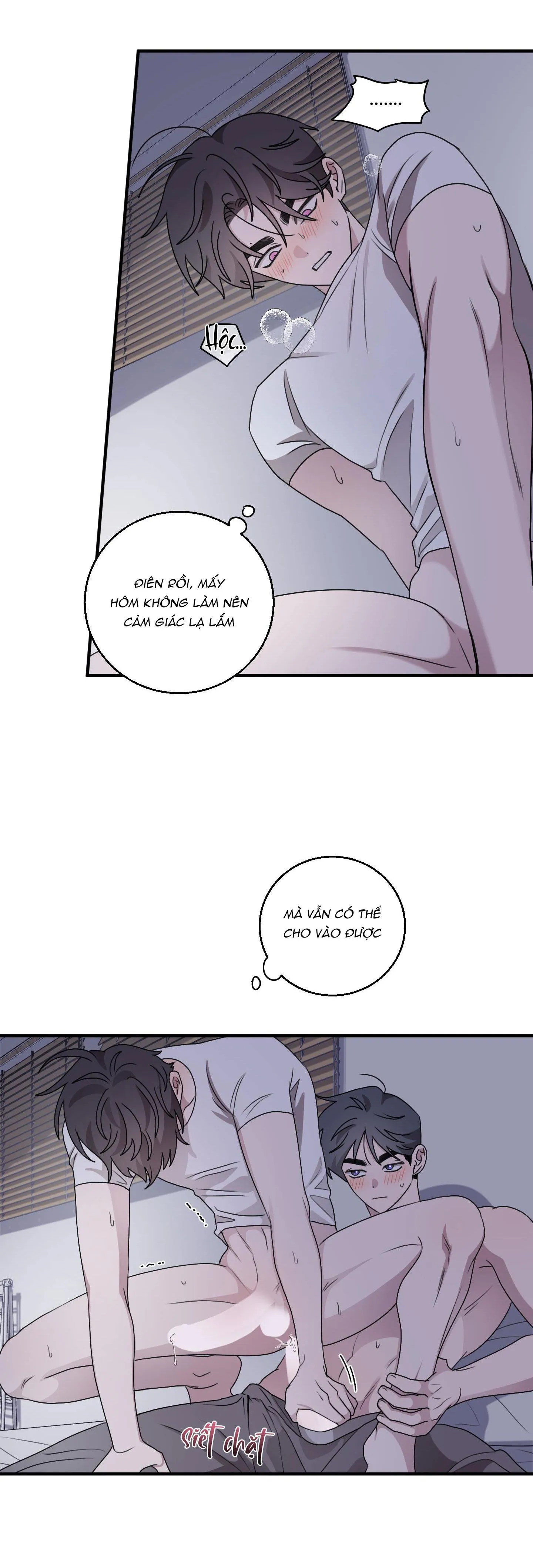 CHUYỆN TÌNH ALPHA Chapter 22 Trang 21