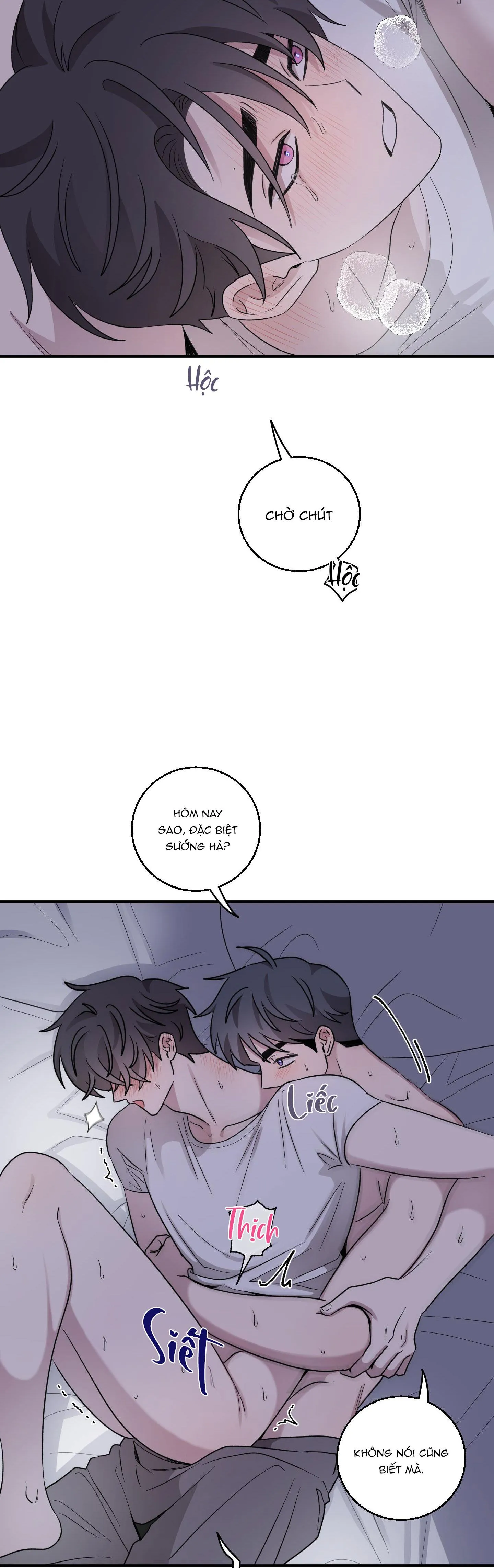 CHUYỆN TÌNH ALPHA Chapter 23 Trang 5