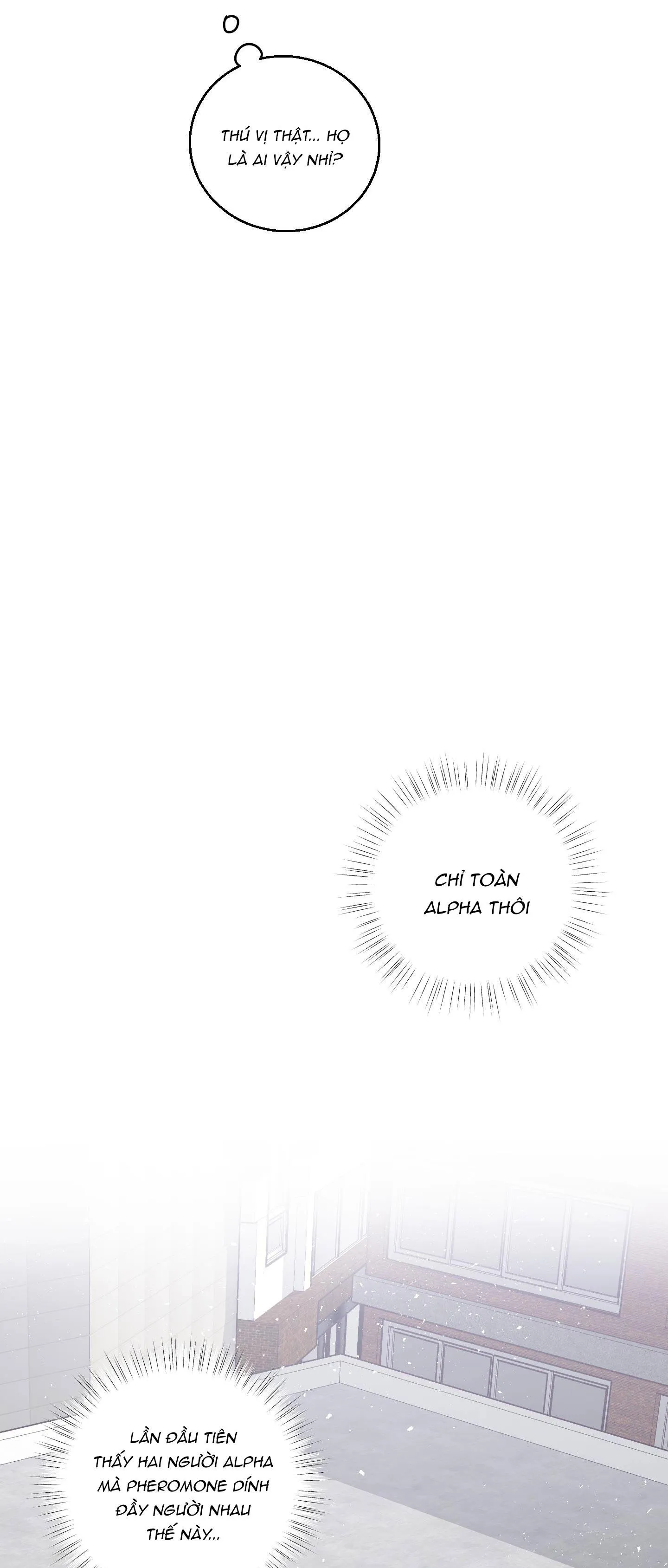 CHUYỆN TÌNH ALPHA Chapter 24 Trang 25