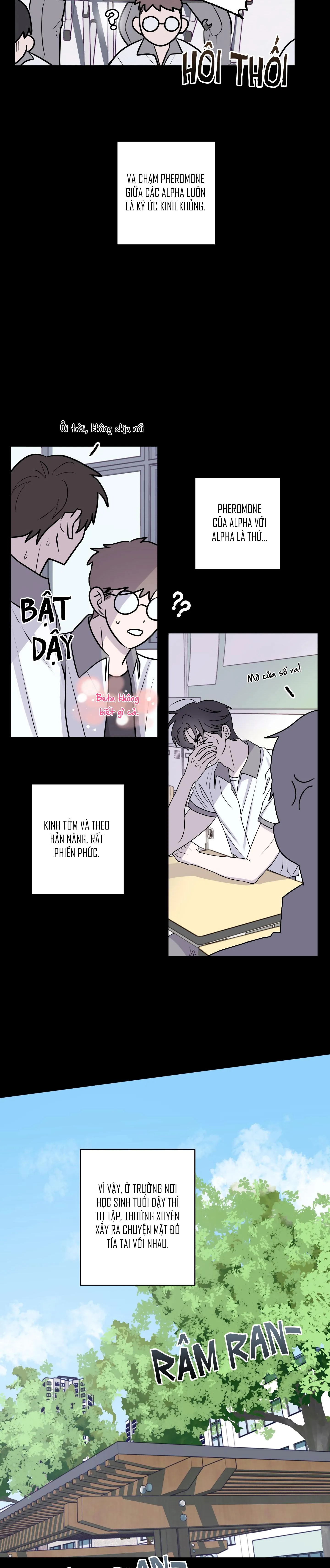 CHUYỆN TÌNH ALPHA Chapter 1 Trang 22