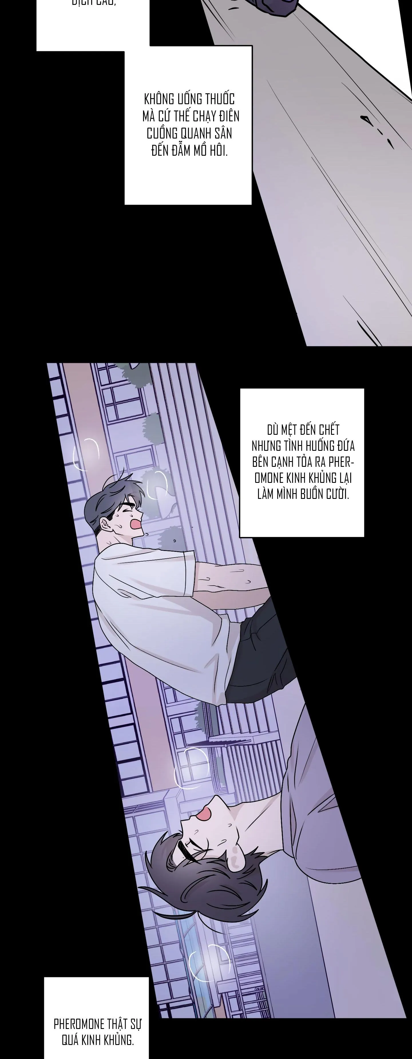 CHUYỆN TÌNH ALPHA Chapter 1 Trang 28