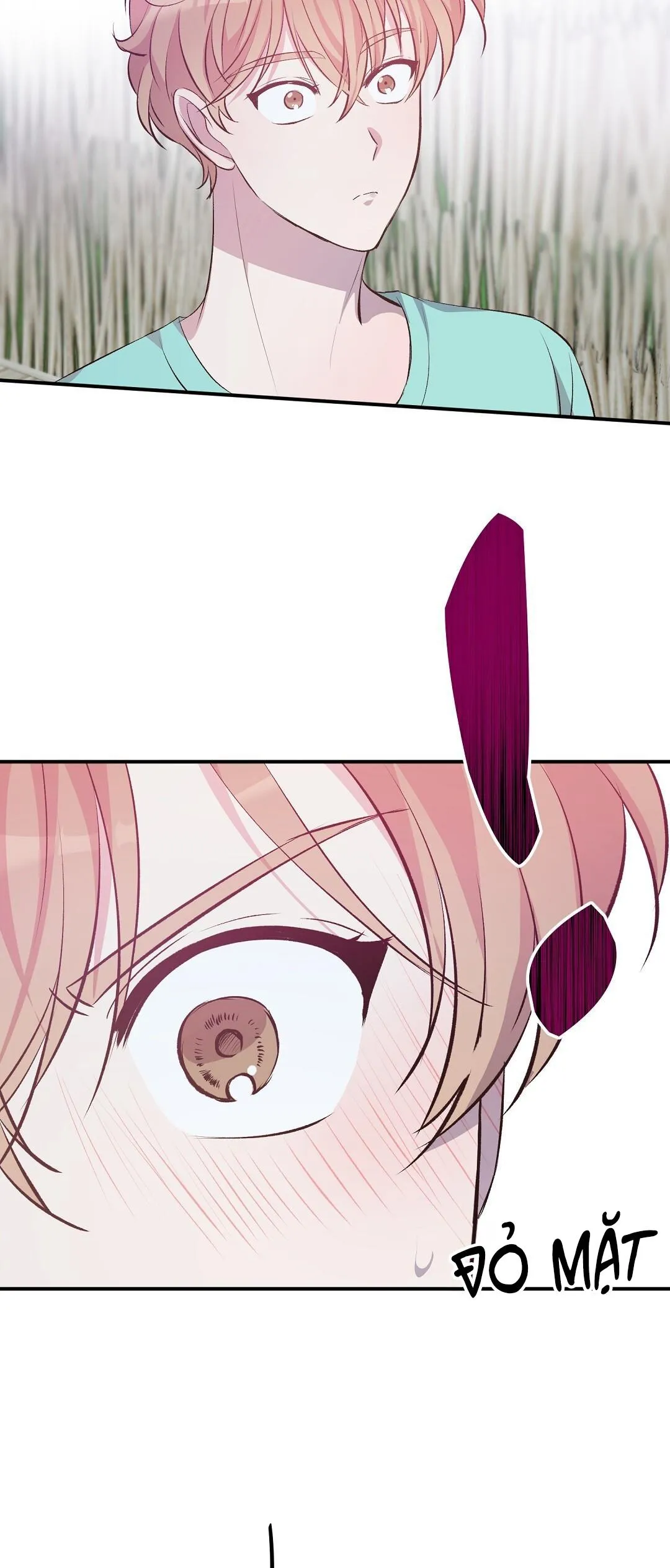 CHUYỆN TÌNH ĐẢO HOANG Chapter 23 Trang 16