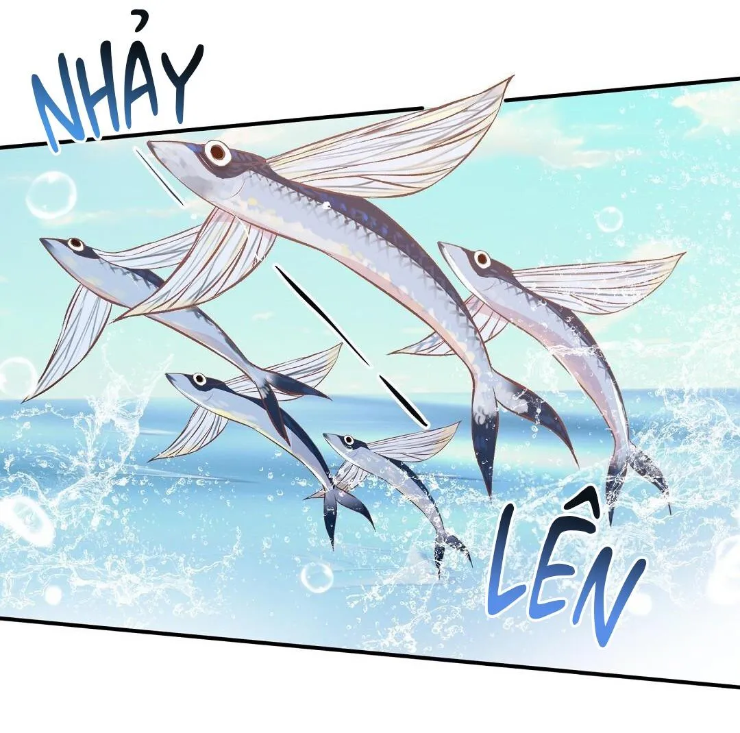 CHUYỆN TÌNH ĐẢO HOANG Chapter 31 Trang 3