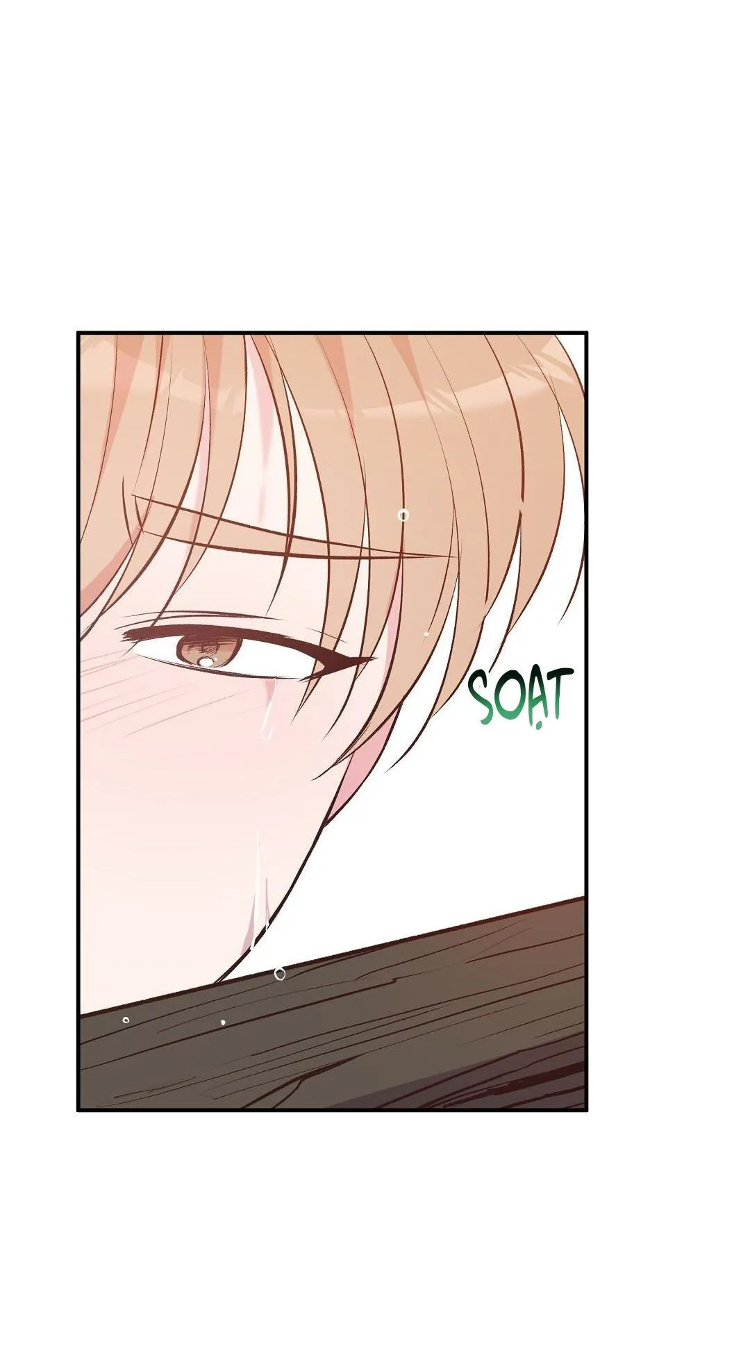 CHUYỆN TÌNH ĐẢO HOANG Chapter 32 Trang 5