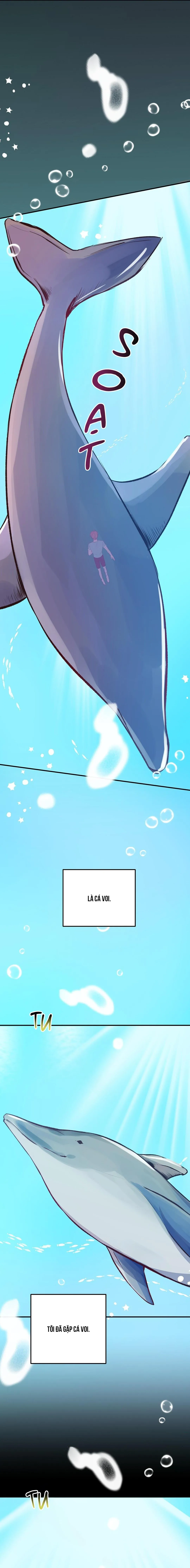 CHUYỆN TÌNH ĐẢO HOANG Chapter 32 Trang 52