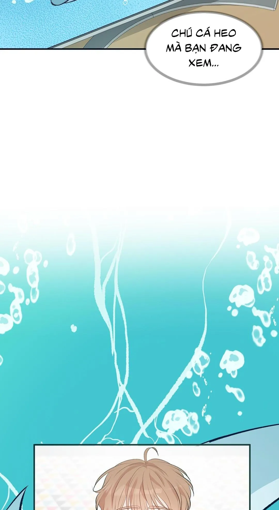 CHUYỆN TÌNH ĐẢO HOANG Chapter 1 Trang 23