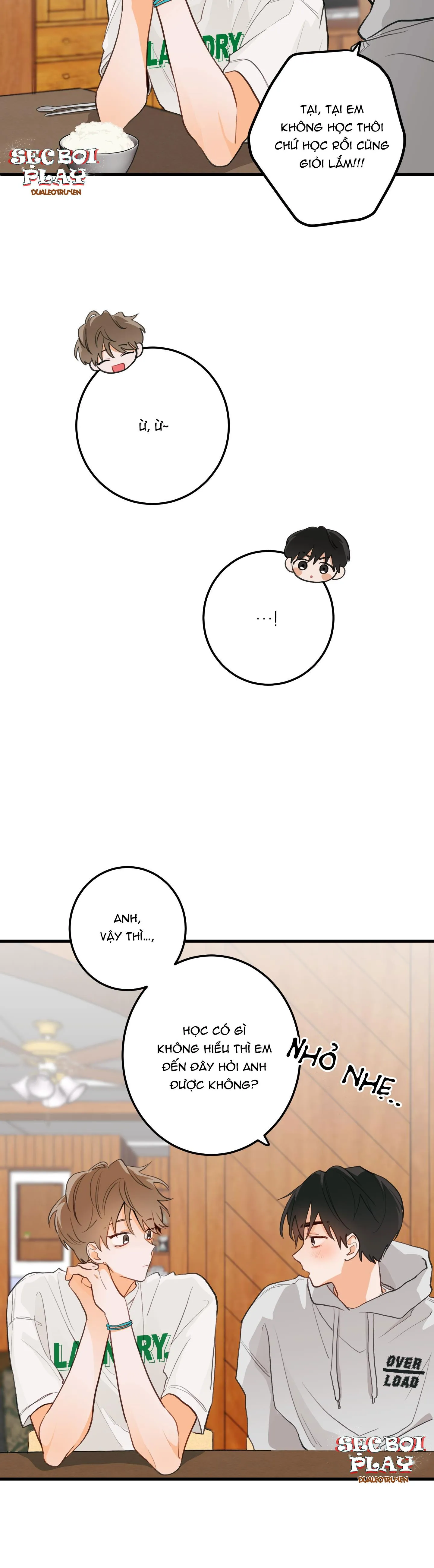 CHUYỆN TÌNH HOA LÊ NỞ Chapter 3 Trang 13