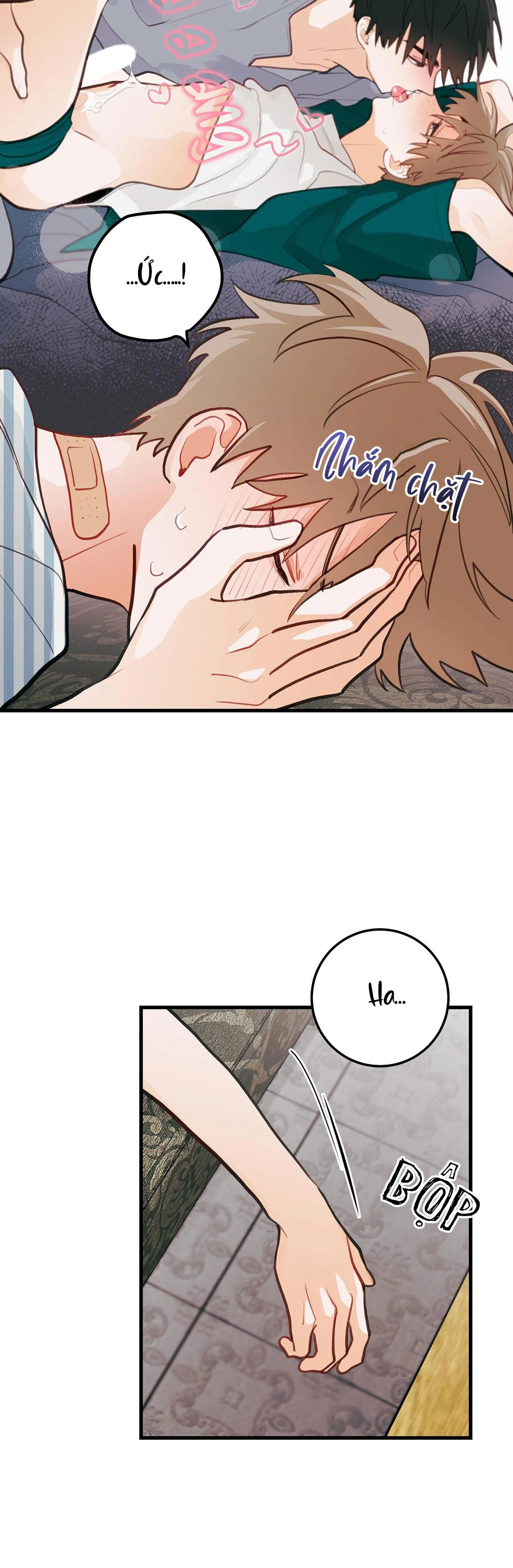 CHUYỆN TÌNH HOA LÊ NỞ Chapter 14 Trang 13