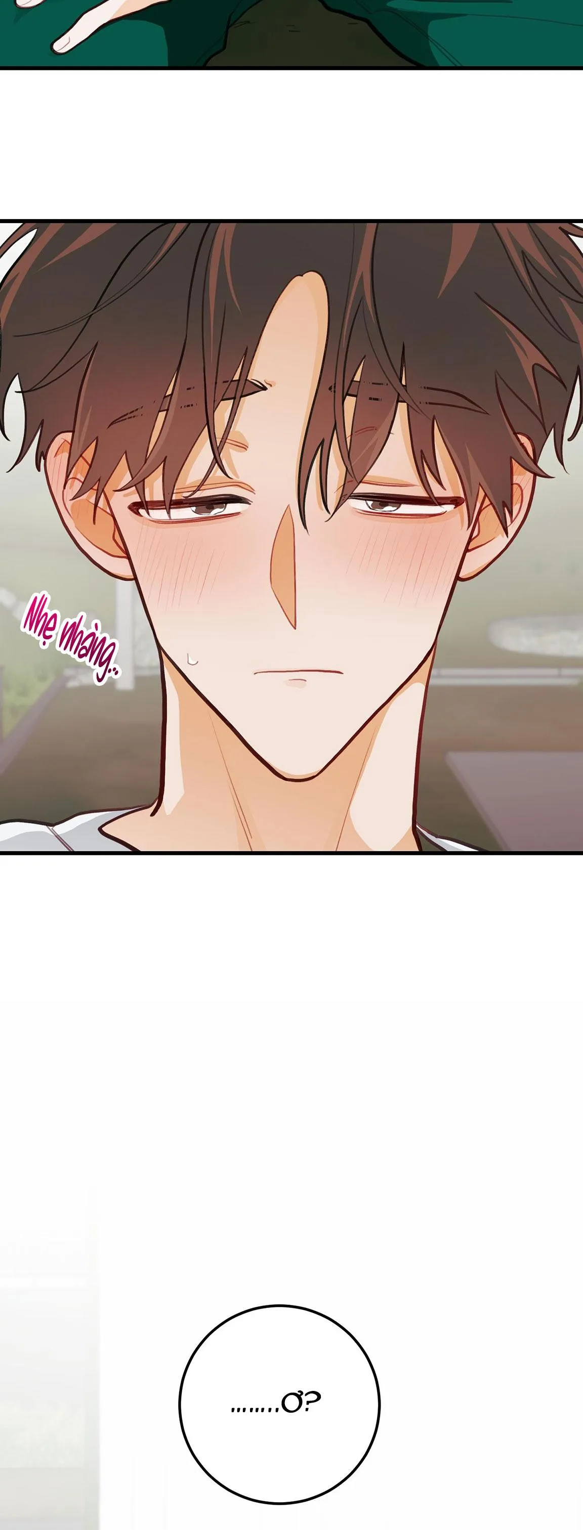 CHUYỆN TÌNH HOA LÊ NỞ Chapter 14 Trang 39