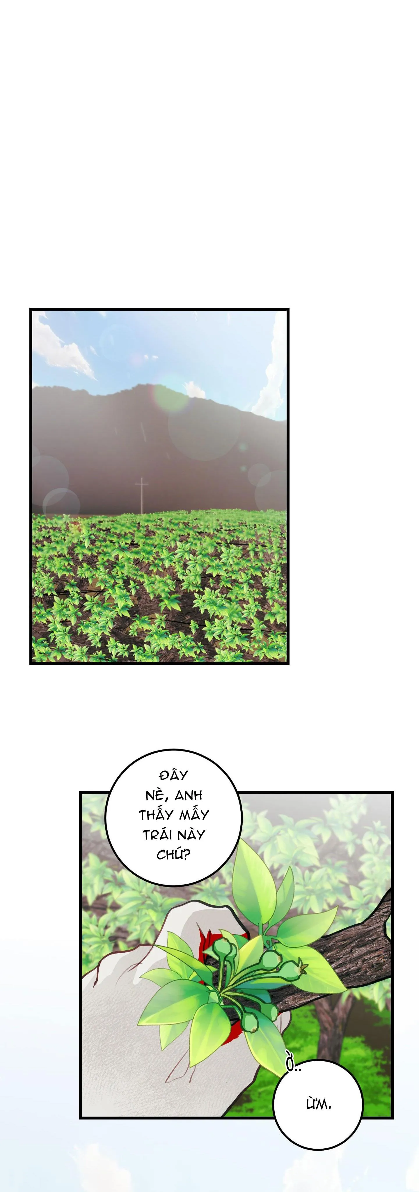 CHUYỆN TÌNH HOA LÊ NỞ Chapter 16 Trang 22