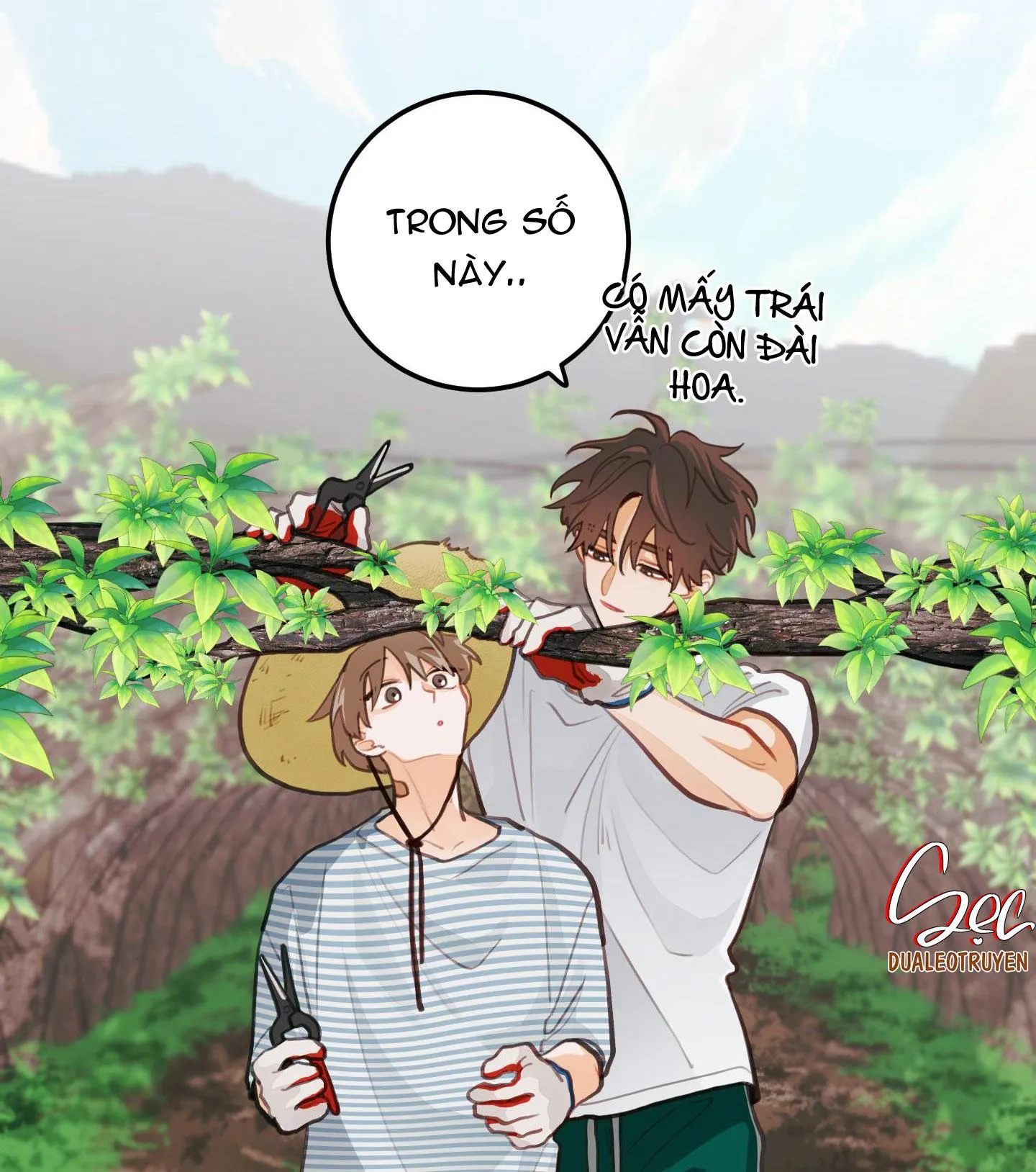 CHUYỆN TÌNH HOA LÊ NỞ Chapter 16 Trang 23