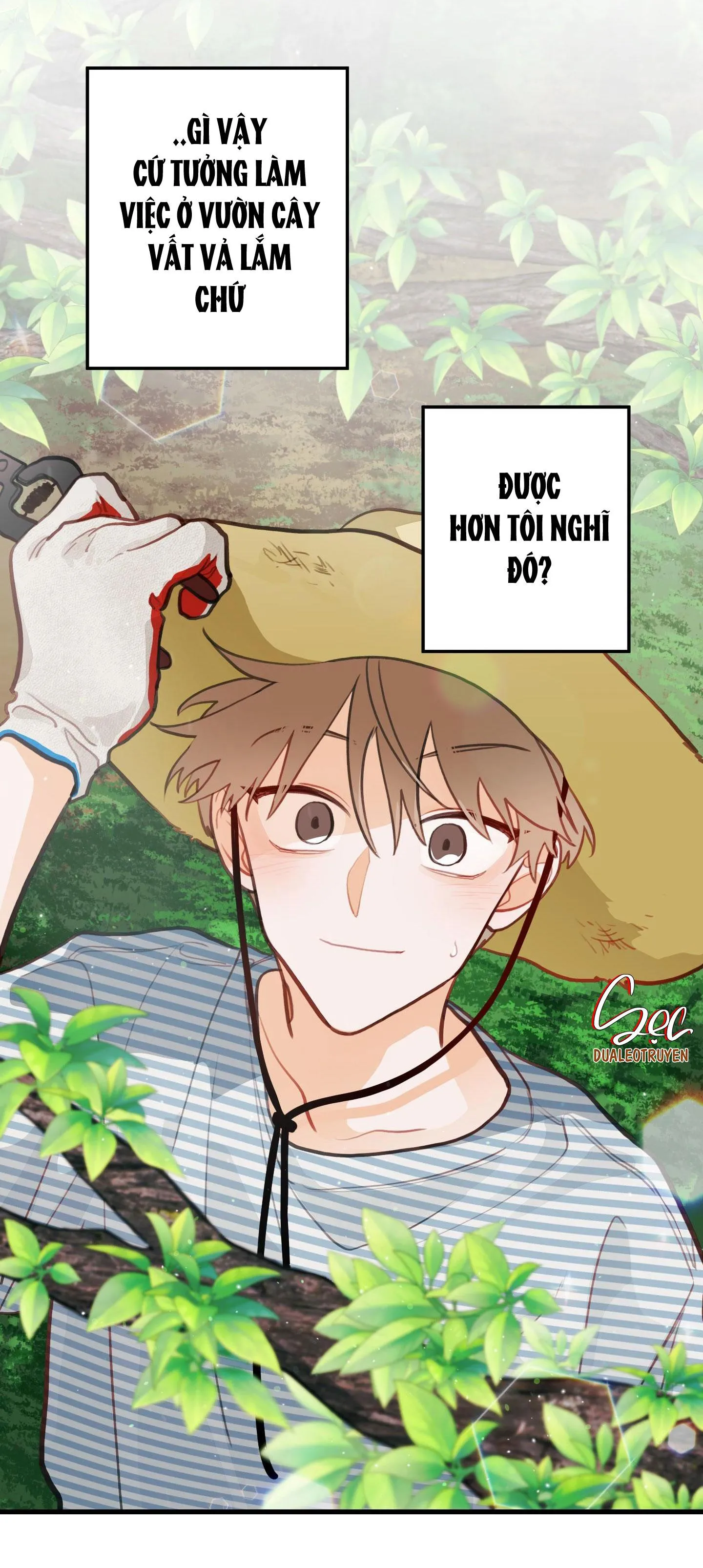 CHUYỆN TÌNH HOA LÊ NỞ Chapter 16 Trang 31