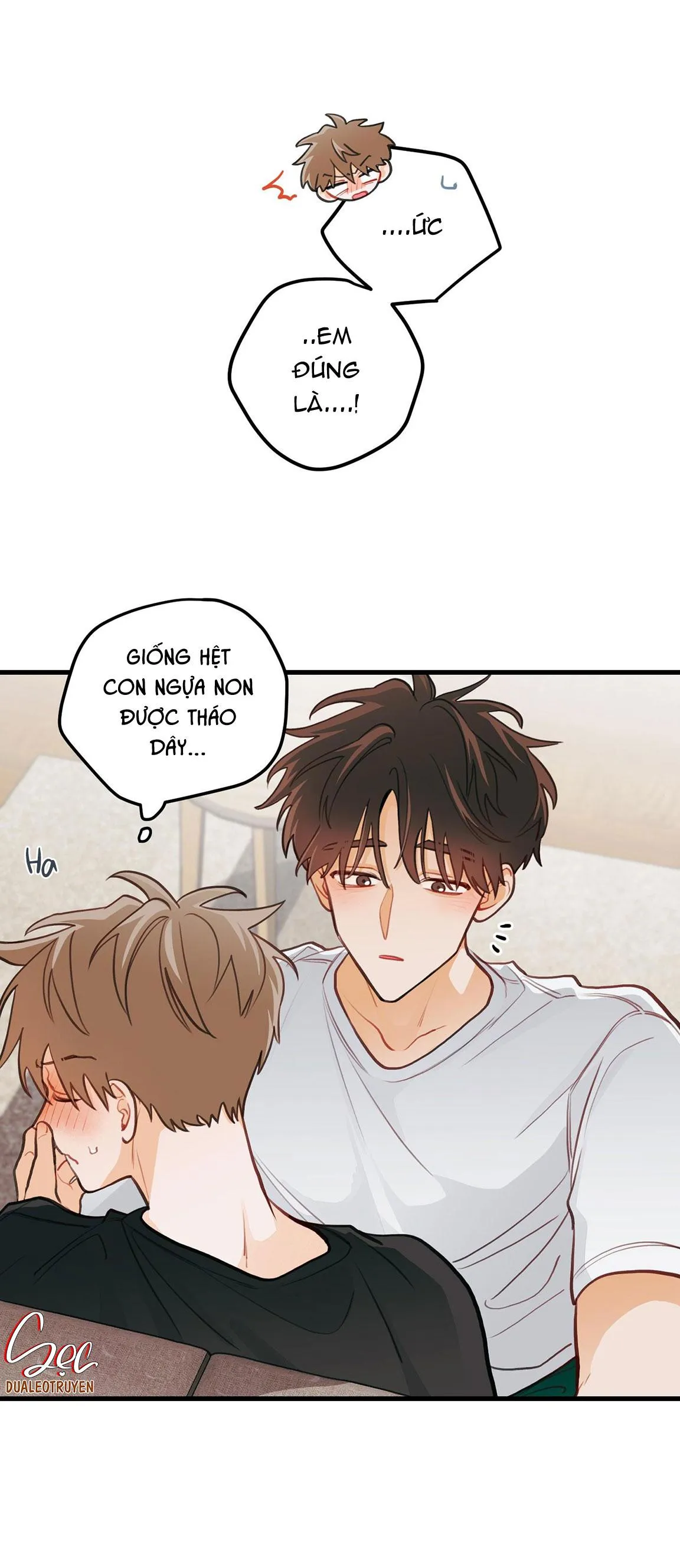 CHUYỆN TÌNH HOA LÊ NỞ Chapter 18 Trang 11