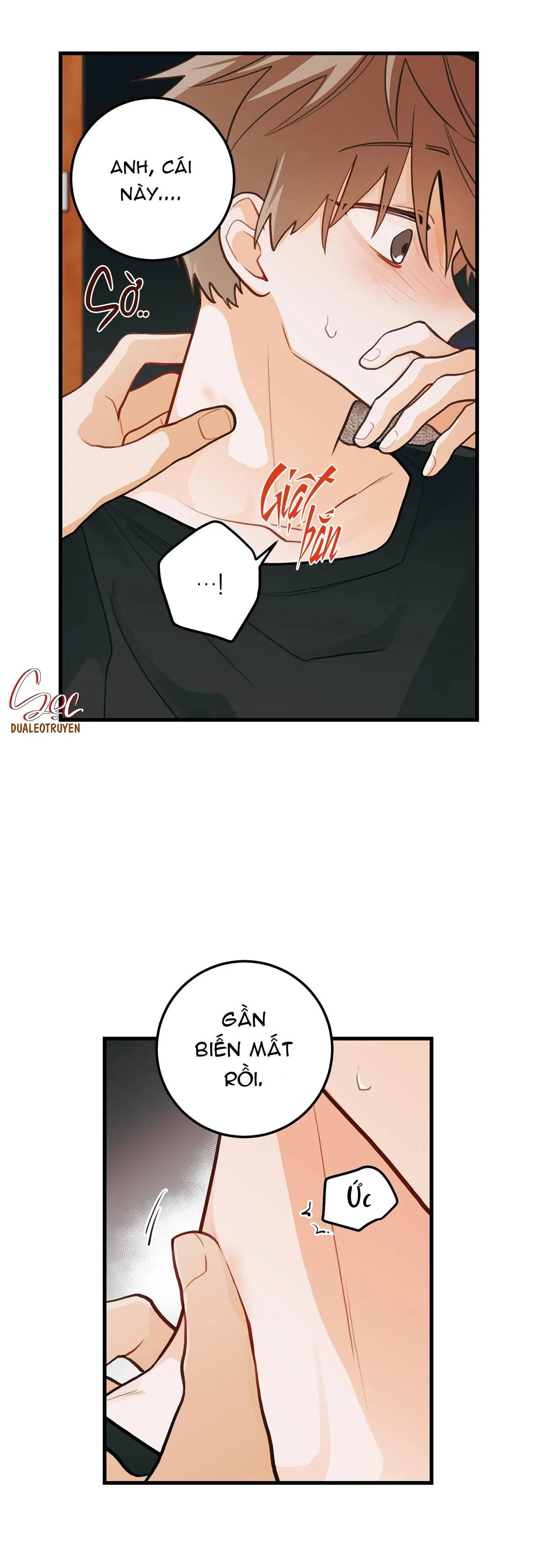 CHUYỆN TÌNH HOA LÊ NỞ Chapter 18 Trang 12