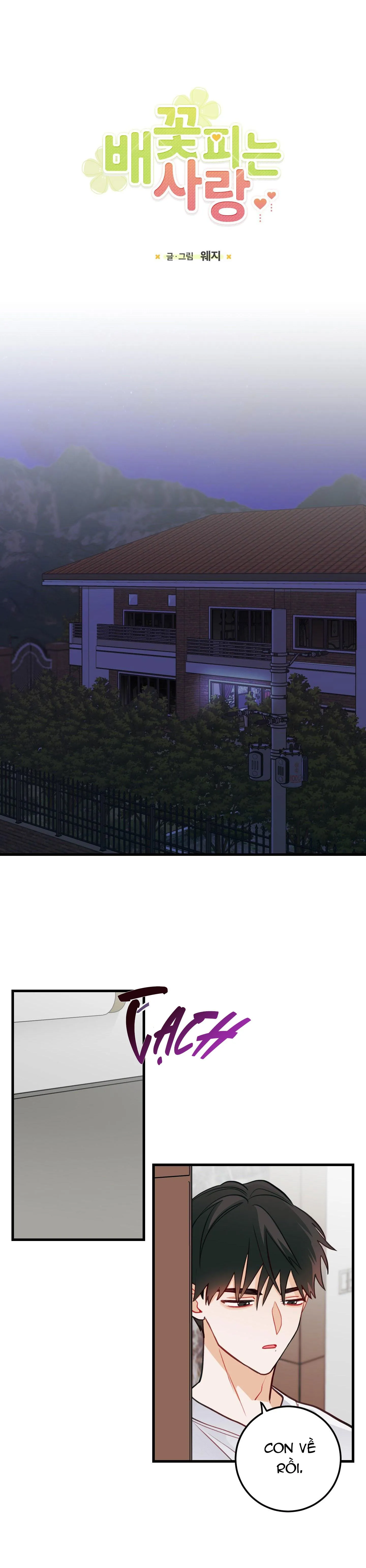 CHUYỆN TÌNH HOA LÊ NỞ Chapter 26 Trang 13