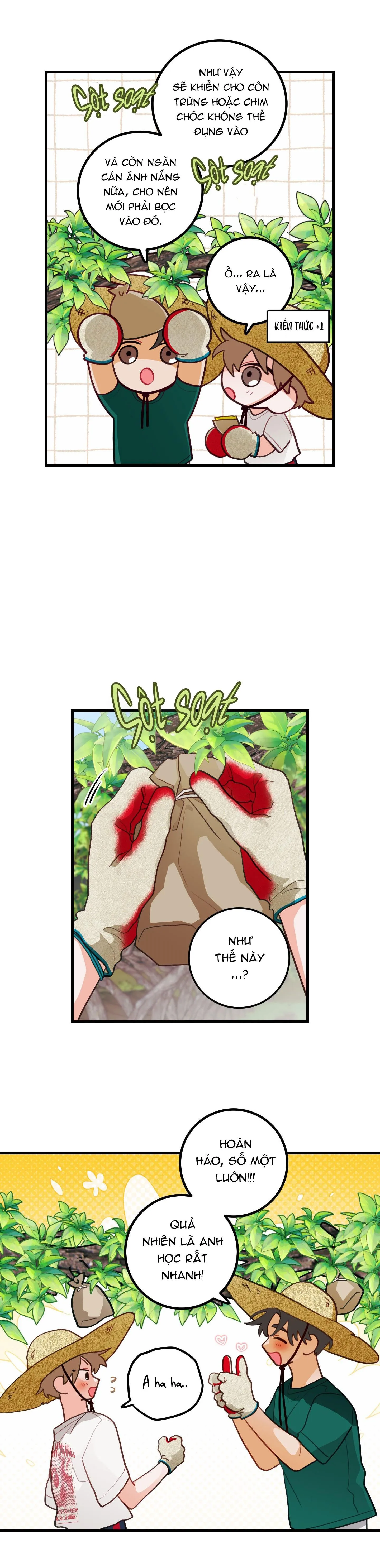 CHUYỆN TÌNH HOA LÊ NỞ Chapter 35 Trang 3