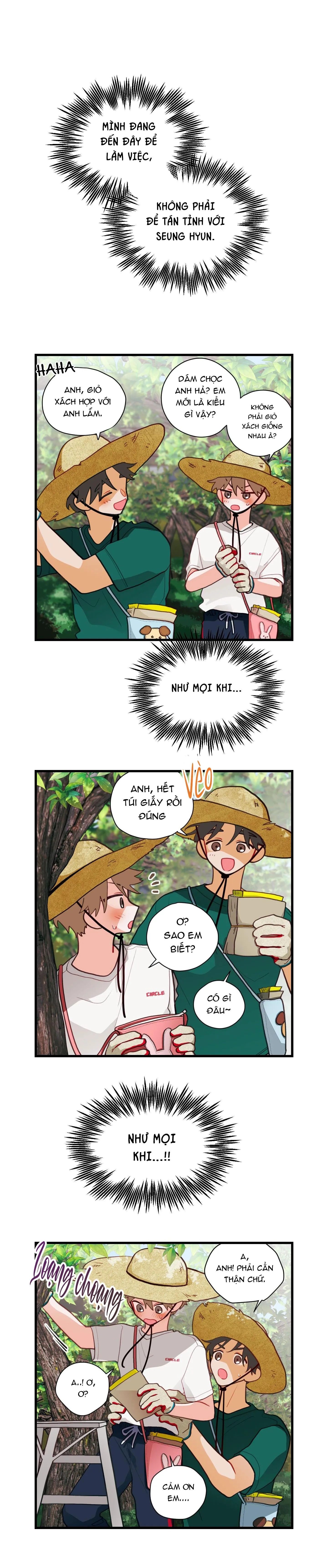 CHUYỆN TÌNH HOA LÊ NỞ Chapter 35 Trang 5