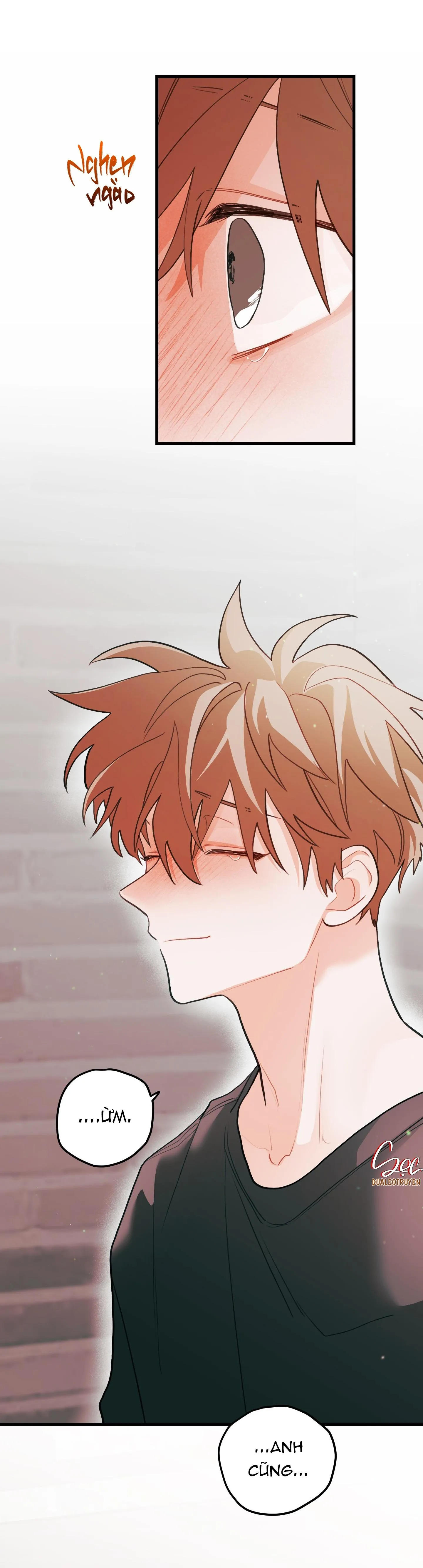 CHUYỆN TÌNH HOA LÊ NỞ Chapter 69 Trang 16