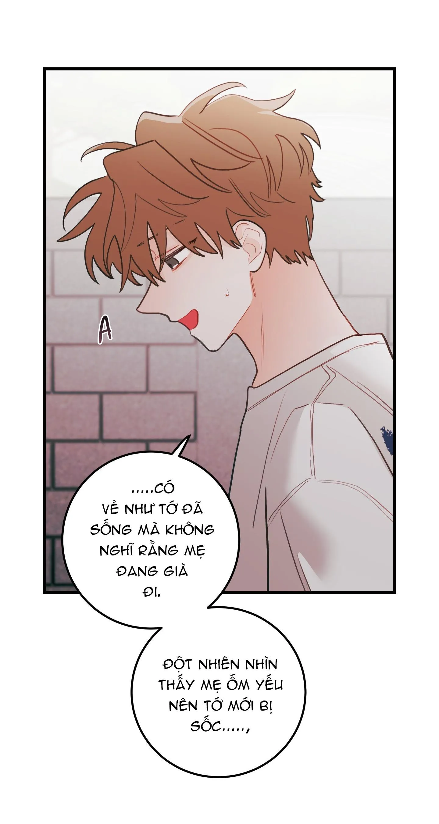 CHUYỆN TÌNH HOA LÊ NỞ Chapter 73 Trang 24