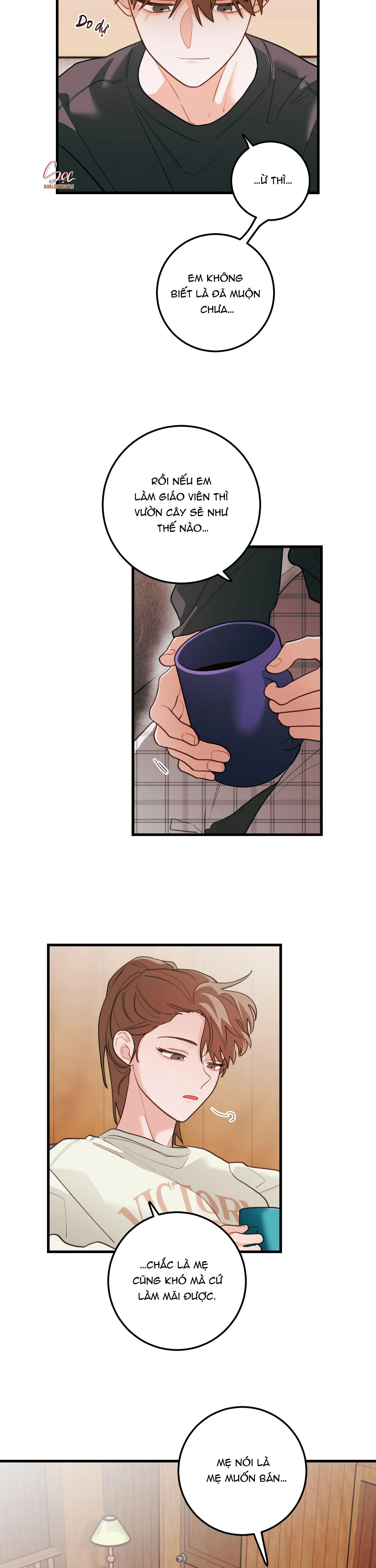 CHUYỆN TÌNH HOA LÊ NỞ Chapter 74 Trang 8