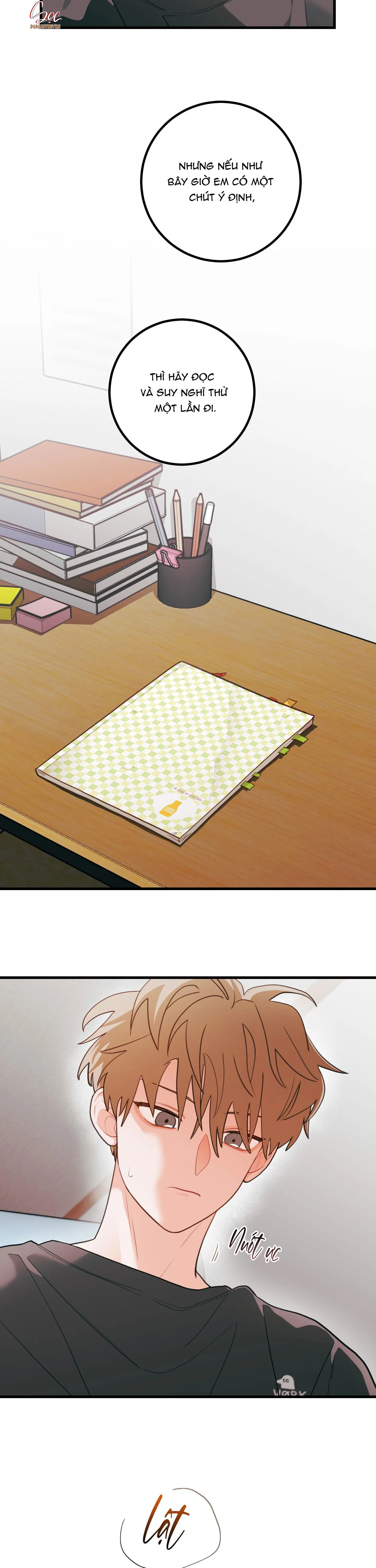 CHUYỆN TÌNH HOA LÊ NỞ Chapter 74 Trang 15