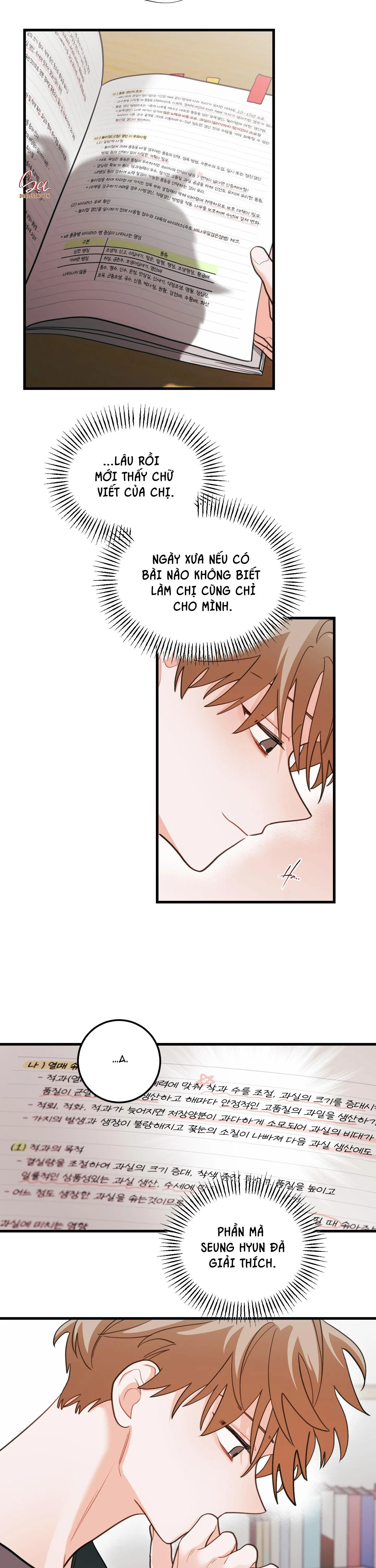 CHUYỆN TÌNH HOA LÊ NỞ Chapter 74 Trang 16