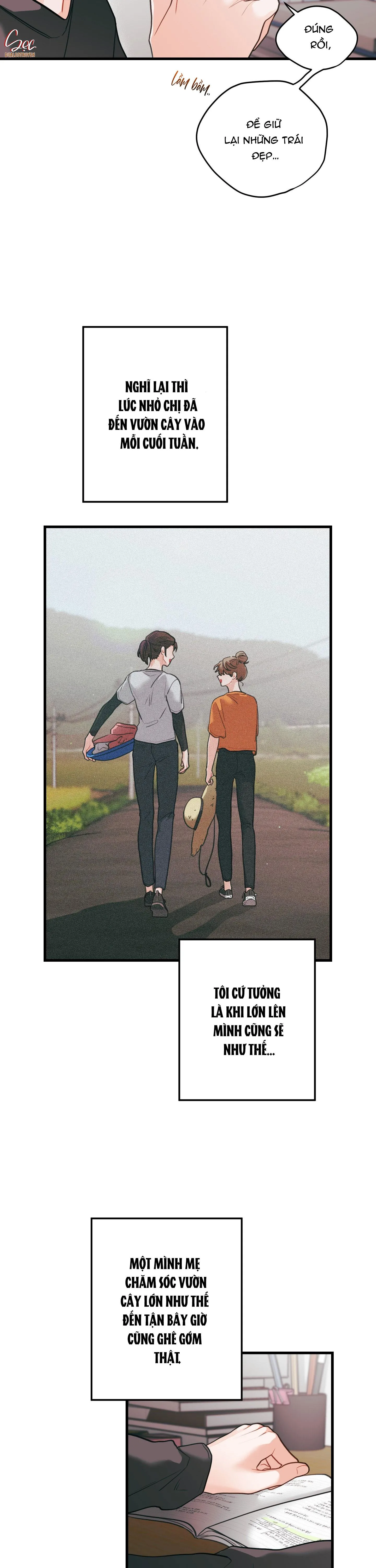 CHUYỆN TÌNH HOA LÊ NỞ Chapter 74 Trang 17