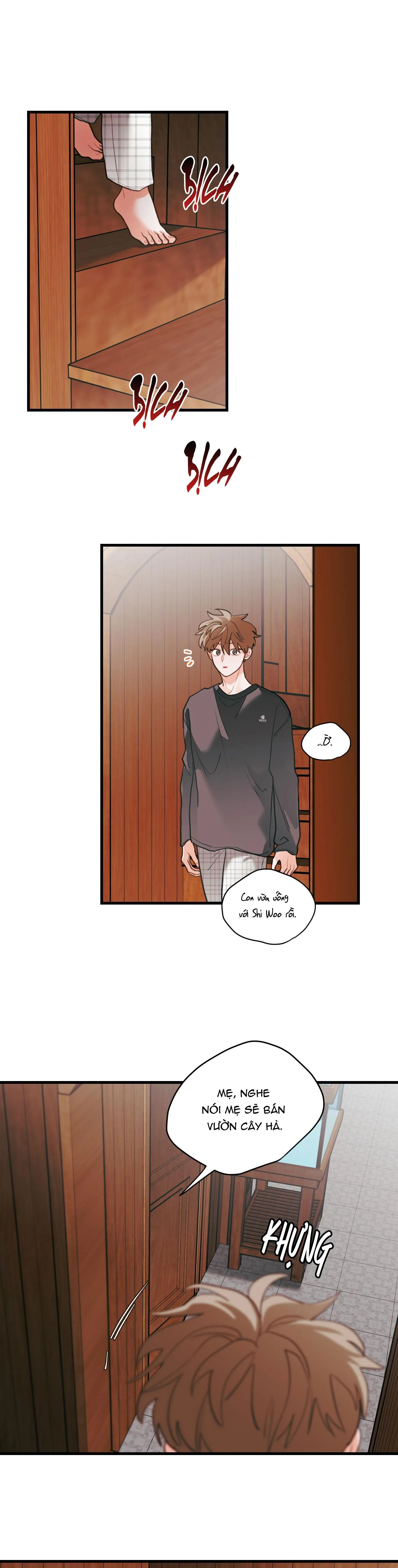 CHUYỆN TÌNH HOA LÊ NỞ Chapter 74 Trang 21