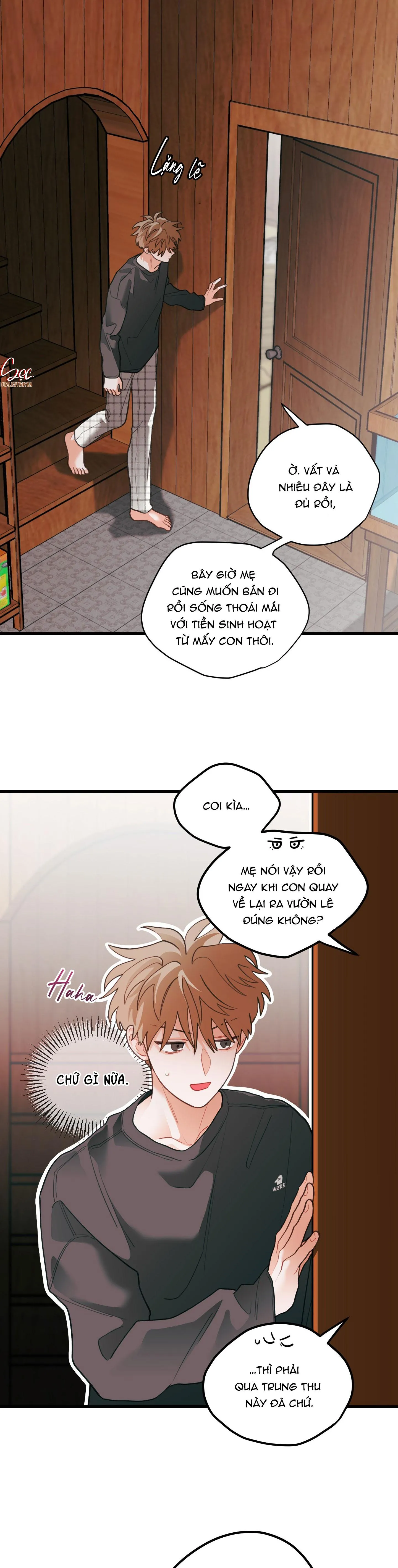 CHUYỆN TÌNH HOA LÊ NỞ Chapter 74 Trang 22